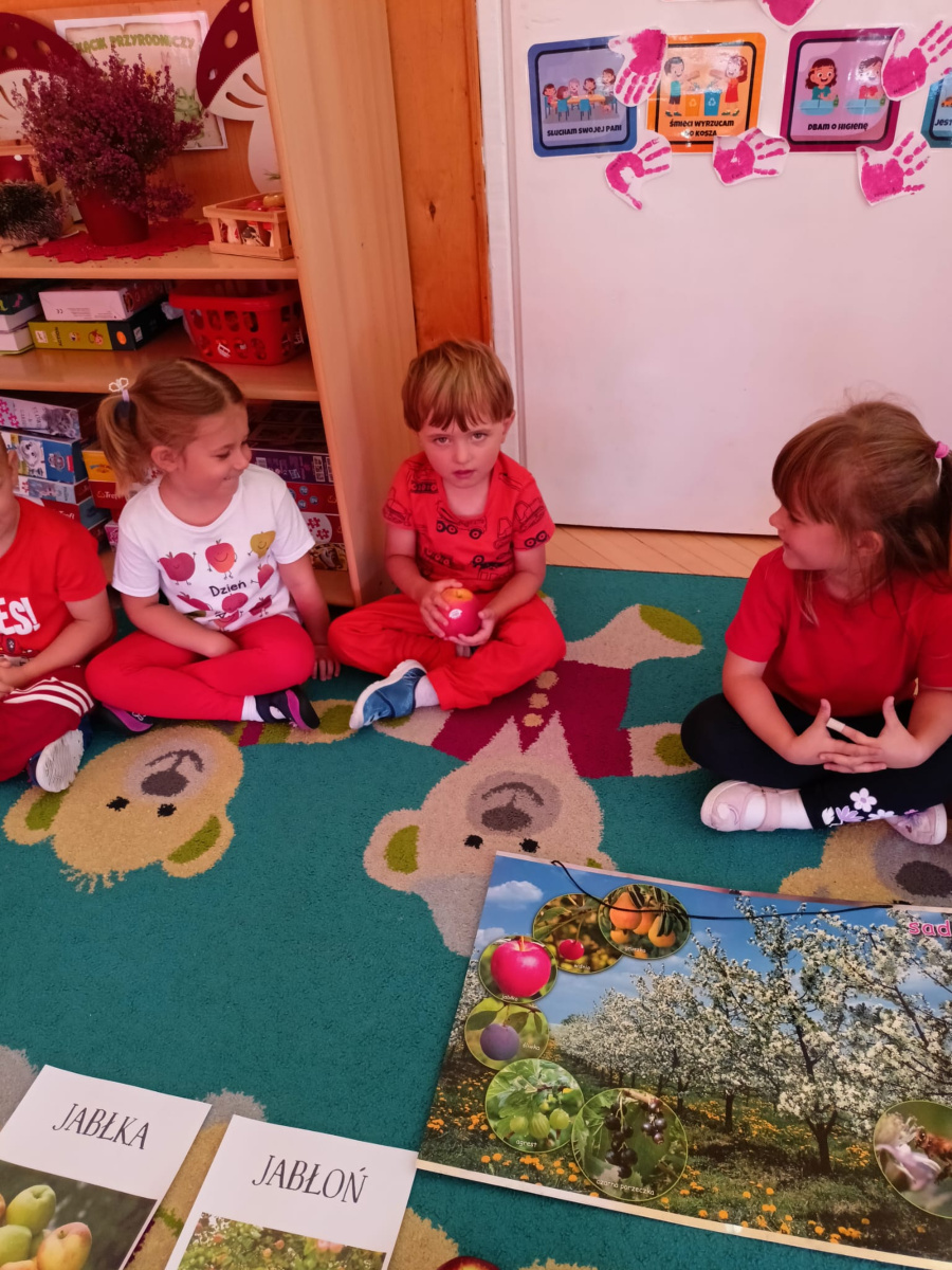 Dzieci siedzą w kole na dywanie. W dłoniach trzymają jabłka a przed nimi rozłożone są plansze i ilustracje przedstawiające jabłonie oraz różne odmiany jabłek. Mają na sobie czerwone stroje