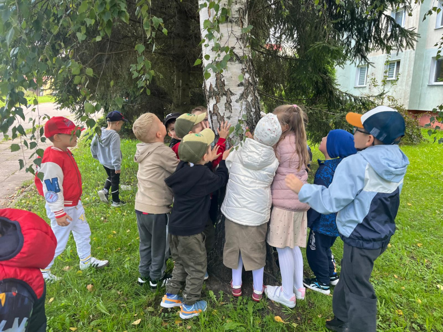 Dzieci stoją wokół pnia brzozy i dotykają jej kory. Ubrane są w kolorowe kurtki, bluzy i czapki, niektóre mają kaptury na głowach. Grupa znajduje się na trawie w pobliżu chodnika i budynk