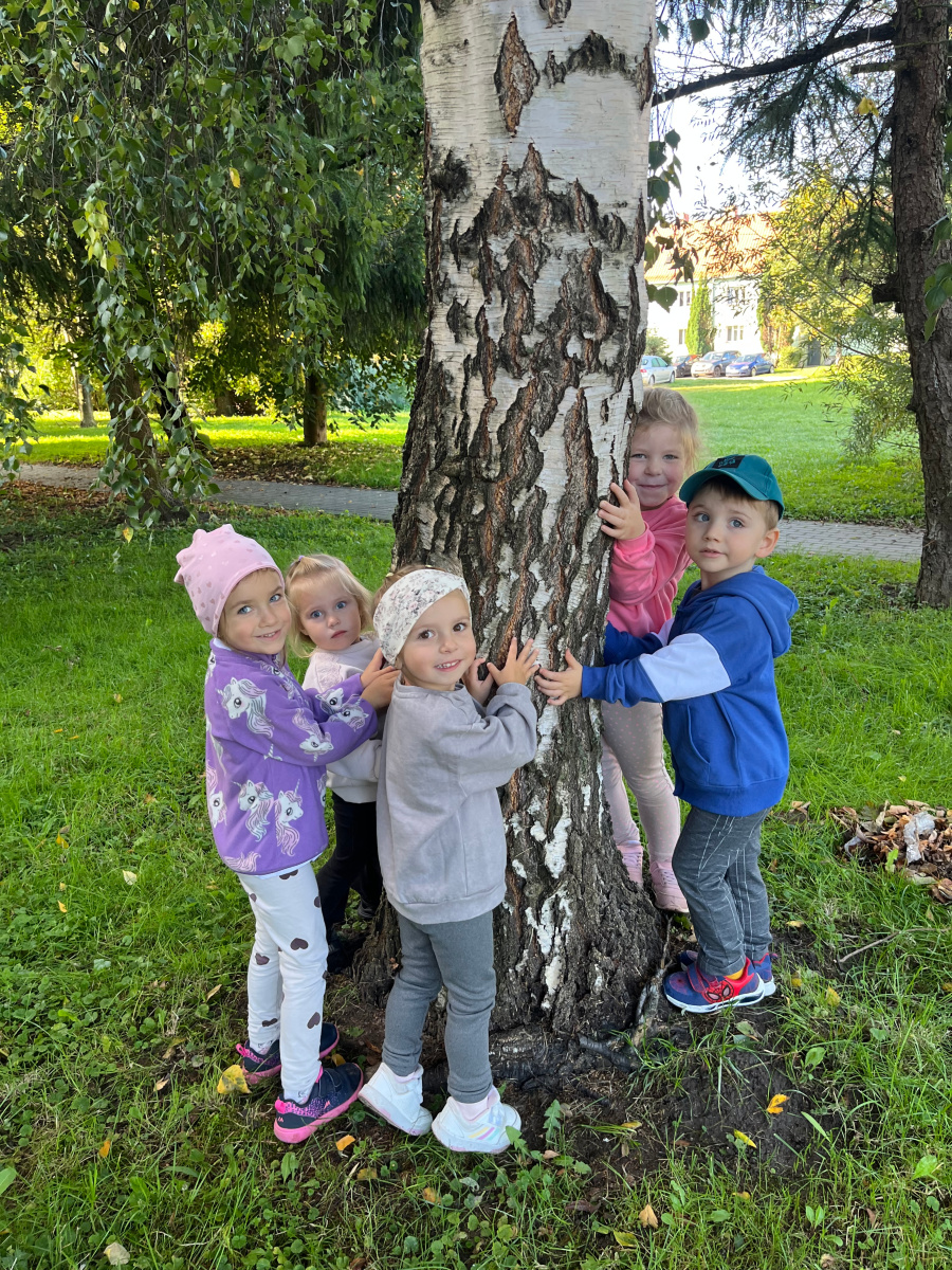 Pięcioro przedszkolaków obejmuje pień brzozy podczas spaceru na świeżym powietrzu, poznając przyrodę i okazując troskę o drzewa